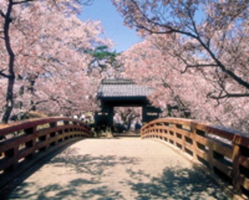 ♪♪高遠桜☆お花見プラン♪♪お土産付き♪♪